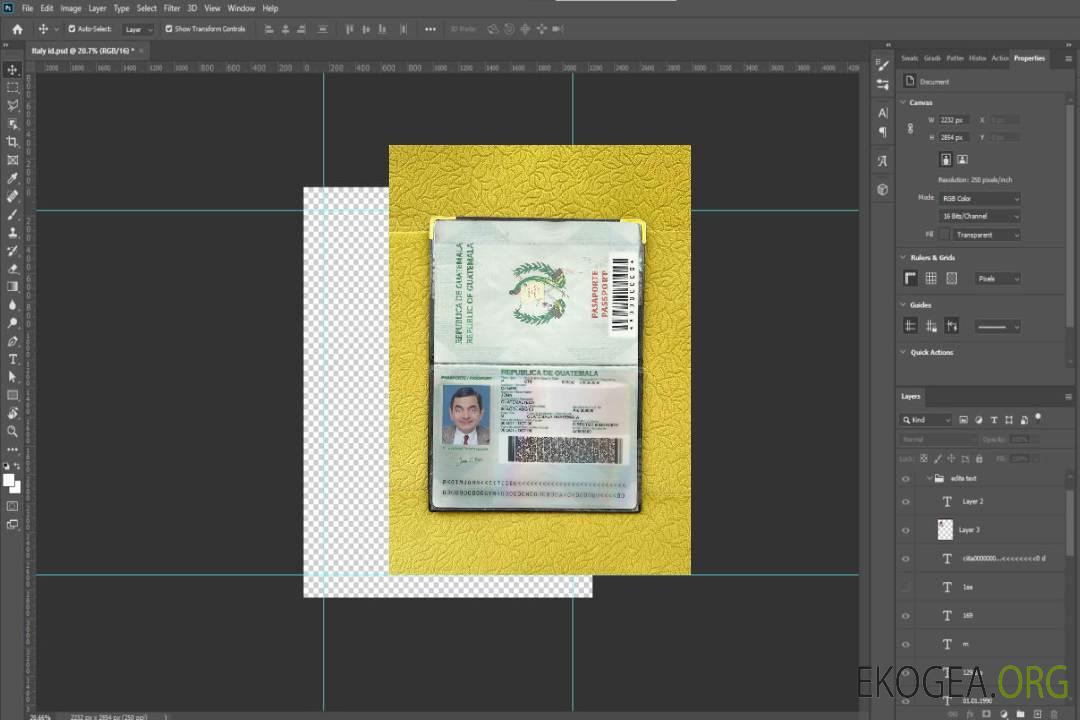 Look de photo de passeport du Guatemala template Look de photo de passeport du Guatemala template